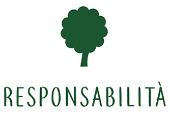 Responsabilità